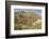 Arizona, Desert Valley Landscape near Phoenix,Scottsdale,Usa-BCFC-Framed Photographic Print