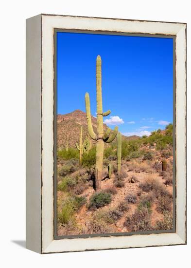 Arizona Desert-Jeni Foto-Framed Premier Image Canvas