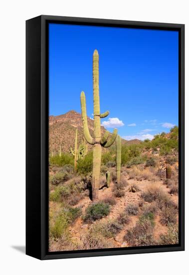 Arizona Desert-Jeni Foto-Framed Premier Image Canvas