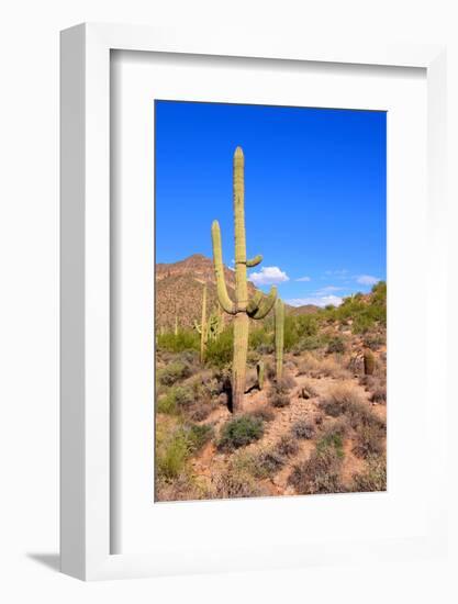 Arizona Desert-Jeni Foto-Framed Photographic Print