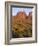 Arizona, Evening Light on Brittlebush-John Barger-Framed Photographic Print