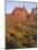 Arizona, Evening Light on Brittlebush-John Barger-Mounted Photographic Print