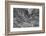 Arizona, Grand Canyon, Colorado River, North Canyon Abstract-John Ford-Framed Photographic Print