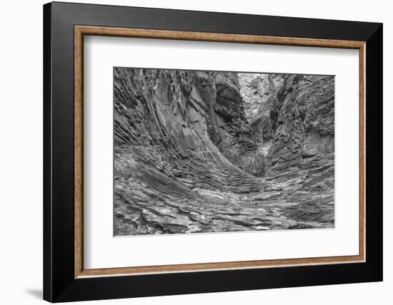 Arizona, Grand Canyon, Colorado River, North Canyon Abstract-John Ford-Framed Photographic Print