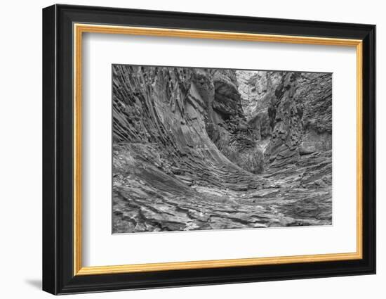 Arizona, Grand Canyon, Colorado River, North Canyon Abstract-John Ford-Framed Photographic Print