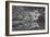 Arizona, Grand Canyon, Colorado River, North Canyon Pouroff-John Ford-Framed Photographic Print