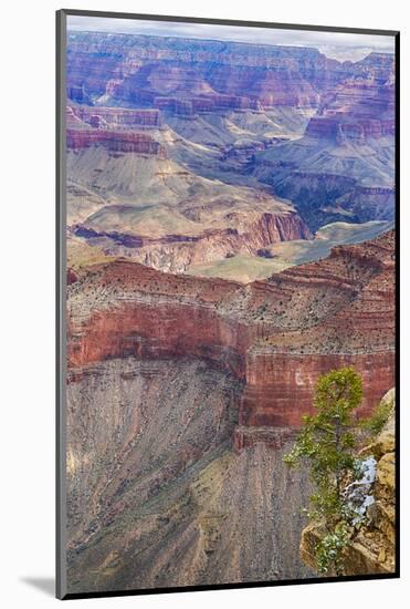 Arizona, Grand Canyon National Park, South Rim-Jamie & Judy Wild-Mounted Photographic Print