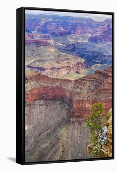 Arizona, Grand Canyon National Park, South Rim-Jamie & Judy Wild-Framed Premier Image Canvas