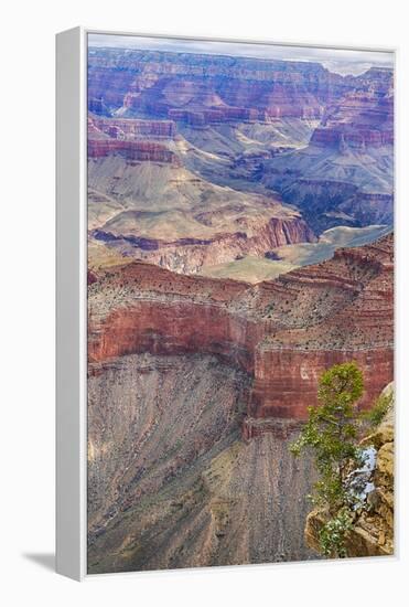 Arizona, Grand Canyon National Park, South Rim-Jamie & Judy Wild-Framed Premier Image Canvas