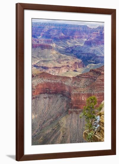 Arizona, Grand Canyon National Park, South Rim-Jamie & Judy Wild-Framed Premium Photographic Print