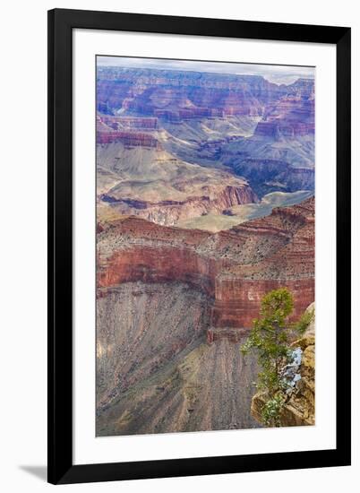 Arizona, Grand Canyon National Park, South Rim-Jamie & Judy Wild-Framed Premium Photographic Print