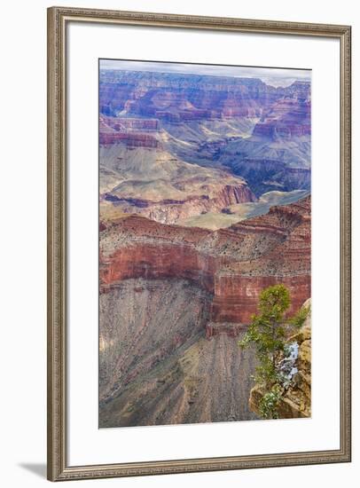 Arizona, Grand Canyon National Park, South Rim-Jamie & Judy Wild-Framed Premium Photographic Print