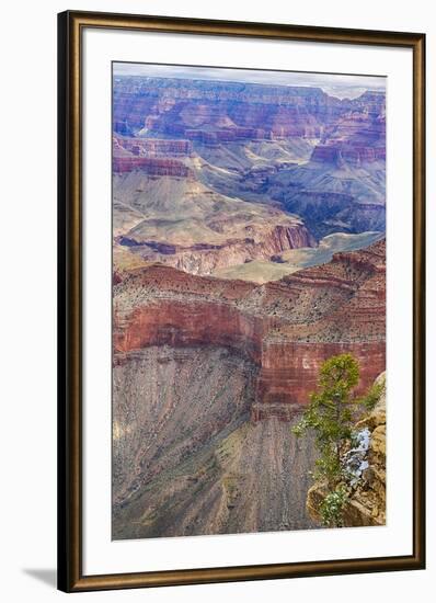 Arizona, Grand Canyon National Park, South Rim-Jamie & Judy Wild-Framed Premium Photographic Print