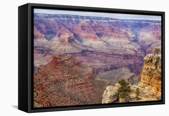 Arizona, Grand Canyon National Park, South Rim-Jamie & Judy Wild-Framed Premier Image Canvas