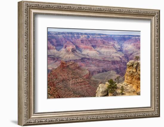 Arizona, Grand Canyon National Park, South Rim-Jamie & Judy Wild-Framed Photographic Print