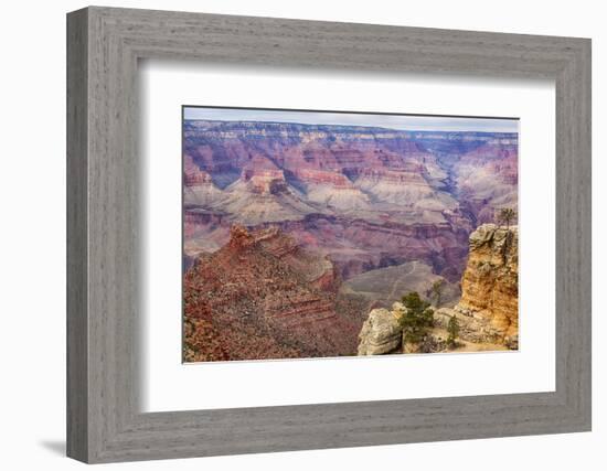 Arizona, Grand Canyon National Park, South Rim-Jamie & Judy Wild-Framed Photographic Print