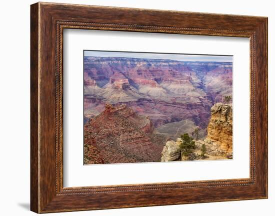 Arizona, Grand Canyon National Park, South Rim-Jamie & Judy Wild-Framed Photographic Print