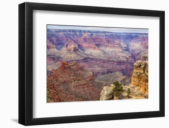 Arizona, Grand Canyon National Park, South Rim-Jamie & Judy Wild-Framed Photographic Print