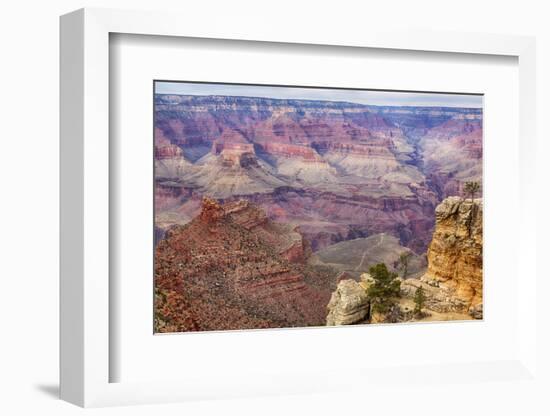 Arizona, Grand Canyon National Park, South Rim-Jamie & Judy Wild-Framed Photographic Print