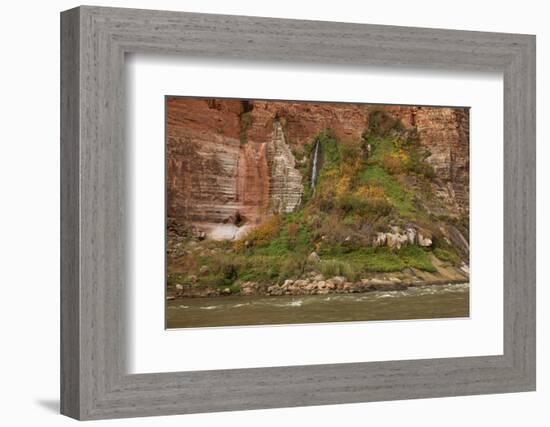 Arizona, Grand Canyon NP. Fresh-Water Spring Flows from Canyon Wall-Don Grall-Framed Photographic Print