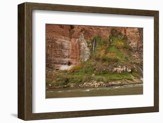 Arizona, Grand Canyon NP. Fresh-Water Spring Flows from Canyon Wall-Don Grall-Framed Photographic Print