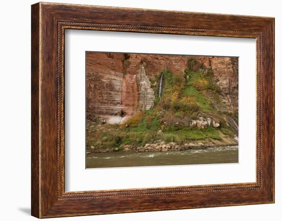 Arizona, Grand Canyon NP. Fresh-Water Spring Flows from Canyon Wall-Don Grall-Framed Photographic Print