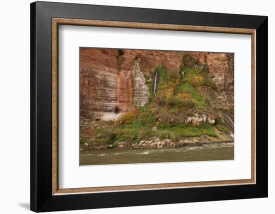 Arizona, Grand Canyon NP. Fresh-Water Spring Flows from Canyon Wall-Don Grall-Framed Photographic Print