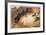 Arizona Highways-Shannon Stirnweis-Framed Collectable Print