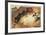 Arizona Highways-Shannon Stirnweis-Framed Collectable Print