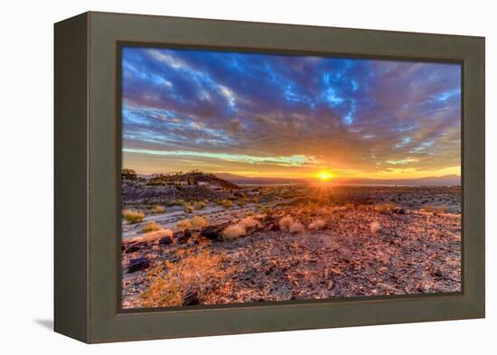 Arizona, Lake Havasu City. Sunset on Desert-Jaynes Gallery-Framed Premier Image Canvas