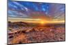 Arizona, Lake Havasu City. Sunset on Desert-Jaynes Gallery-Mounted Photographic Print