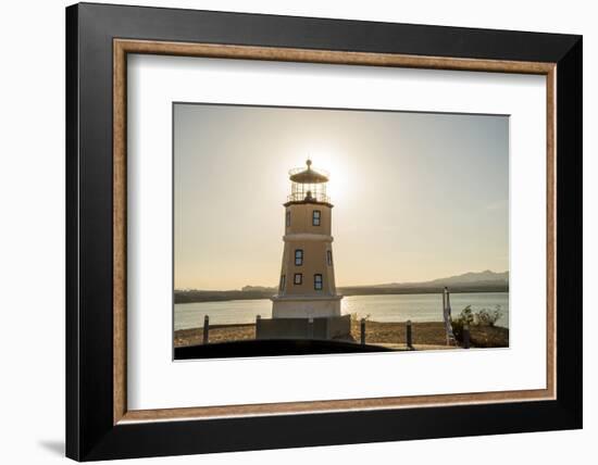 Arizona, Lake Havasu City-Alison Jones-Framed Photographic Print