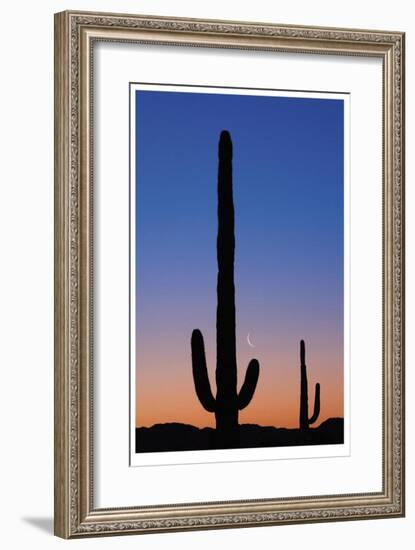 Arizona Moon & Cactus-Donald Paulson-Framed Giclee Print