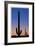 Arizona Moon & Cactus-Donald Paulson-Framed Giclee Print