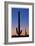 Arizona Moon & Cactus-Donald Paulson-Framed Giclee Print