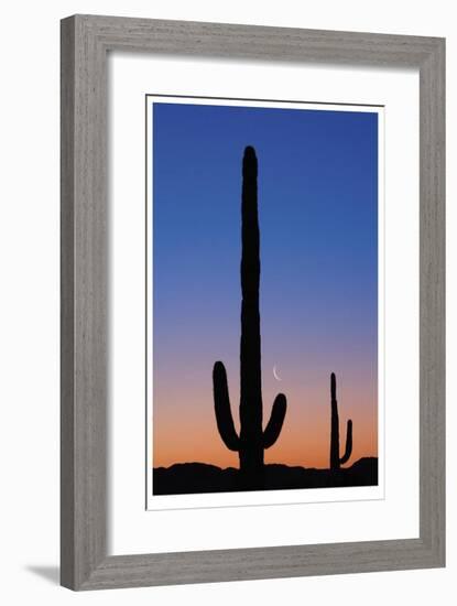 Arizona Moon & Cactus-Donald Paulson-Framed Giclee Print