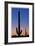 Arizona Moon & Cactus-Donald Paulson-Framed Giclee Print