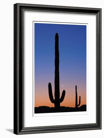 Arizona Moon & Cactus-Donald Paulson-Framed Giclee Print