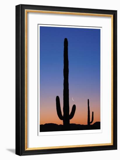 Arizona Moon & Cactus-Donald Paulson-Framed Giclee Print