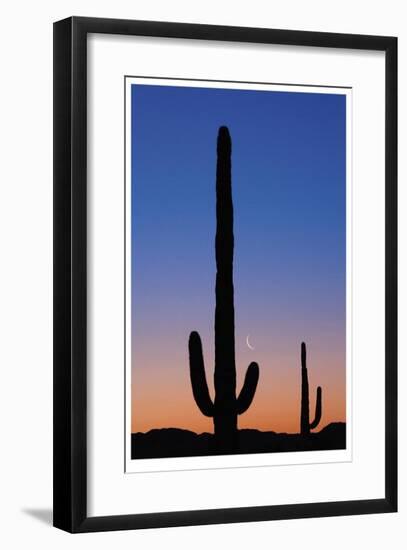 Arizona Moon & Cactus-Donald Paulson-Framed Giclee Print