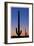 Arizona Moon & Cactus-Donald Paulson-Framed Giclee Print