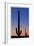 Arizona Moon & Cactus-Donald Paulson-Framed Giclee Print