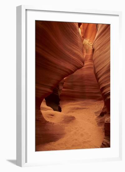 Arizona, Navajo Nation, Eroded Sandstone Formations and Tumbleweed-David Wall-Framed Photographic Print