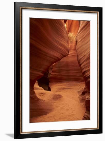 Arizona, Navajo Nation, Eroded Sandstone Formations and Tumbleweed-David Wall-Framed Photographic Print