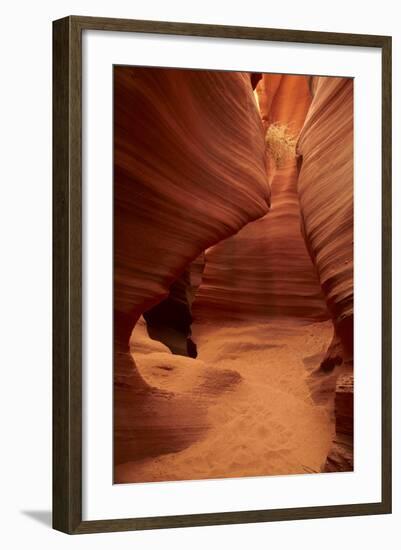 Arizona, Navajo Nation, Eroded Sandstone Formations and Tumbleweed-David Wall-Framed Photographic Print