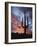 Arizona, Organ Pipe Cactus National Monument, Saguaro Cacti at Sunset-Christopher Talbot Frank-Framed Photographic Print