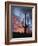 Arizona, Organ Pipe Cactus National Monument, Saguaro Cacti at Sunset-Christopher Talbot Frank-Framed Photographic Print