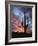 Arizona, Organ Pipe Cactus National Monument, Saguaro Cacti at Sunset-Christopher Talbot Frank-Framed Photographic Print