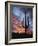 Arizona, Organ Pipe Cactus National Monument, Saguaro Cacti at Sunset-Christopher Talbot Frank-Framed Photographic Print