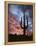 Arizona, Organ Pipe Cactus National Monument, Saguaro Cacti at Sunset-Christopher Talbot Frank-Framed Premier Image Canvas